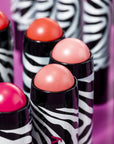 Sisley Phyto-Blush Twist